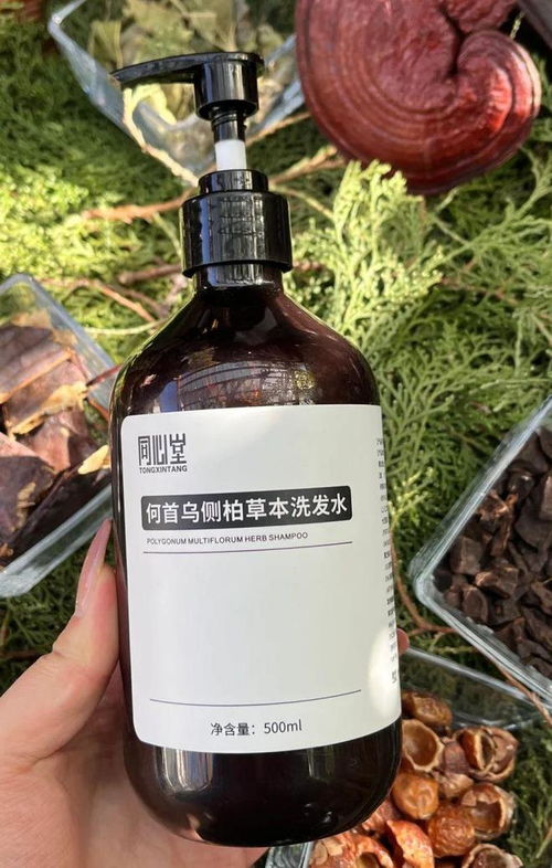 告別脫發(fā)困擾！2024平價防脫育發(fā)產(chǎn)品盤點，這四款值得一試